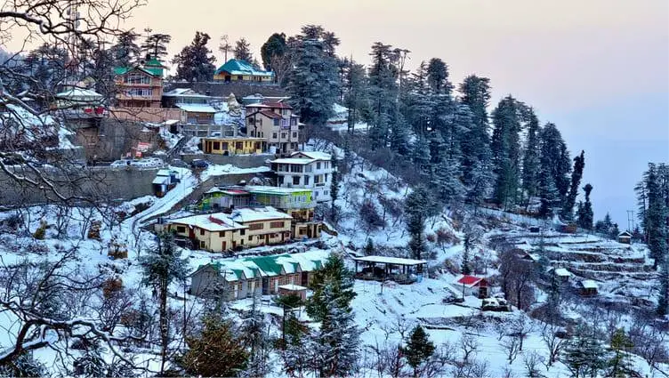 Shimla